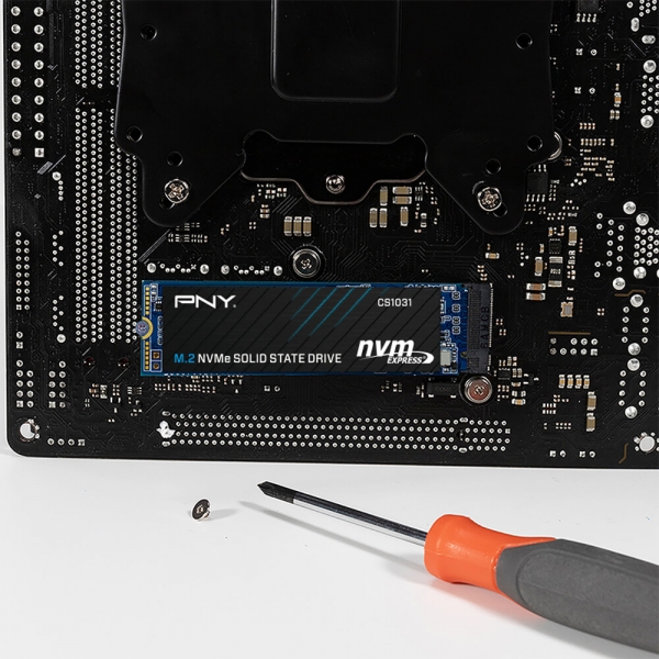 CS1031 M.2 2280 NVMe Gen3x4 SSD-PNY Japan
