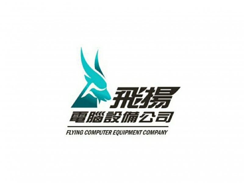 Flying Computer Equipment Company
